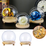 LONTIME Glass cloche Terrarium Tabletop Fairy Lights Spherical Glass Vase Terrarium Jar Flower Storage box