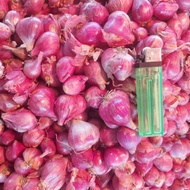 bawang brebes super merah