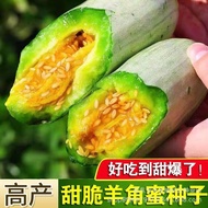 Sweet Crispy Claw Honey Seed Melon Crispy Melon Seed Seed Seed Seed Seed Vegetable Seed Crispy High-