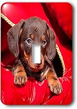 3dRose (lsp_258158_1) Single Toggle Switch Doxen puppy