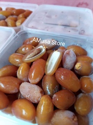 Kurma RUTHOB LIBYA - Kurma Muda Kurma Promil - Kurma Ruthob Libya - Kurma Muda Ruthob Libya