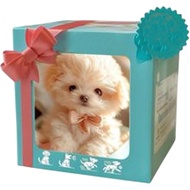 Roboter Hunde Mein Realistischer Roboter Welpe Die Wie EIN Echter Welpe Handelt Roboter Hundespielze