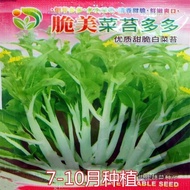 Vegetable Moss Sweet Crispy Cabbage Moss Seeds High-Quality Cabbage Moss Seeds Balcony Potted Vegeta
