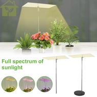 Grow Light Height Adjustable Grow Lamp Dimmable Brightness Full Spectrum Grow Light Bright LED Light