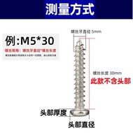 316 Self-Tapping Phillips Self-Tapping Screw Screw Phillips Screw Self-Tapping PA Stainless