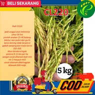 100%Ori Bibit Padi Unggul Cl220 5 Kg [Stok Ready]