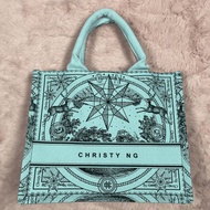CN Rudy 25 Mini Canvas Tote Bag Beg