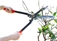 GARDENSCISSOR- New Garden Grass Cutter Scissor Cutting Steam Home Gardening Tools