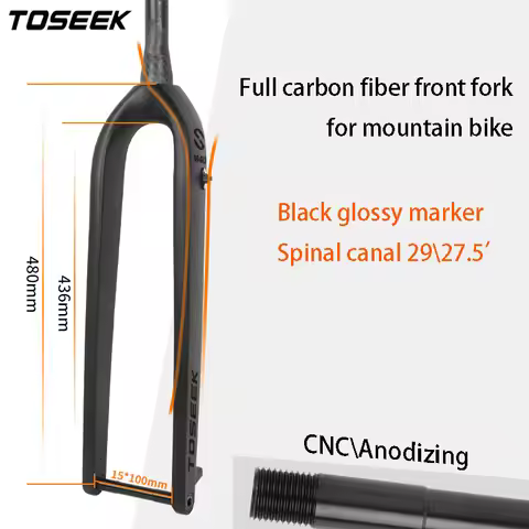 TOSEEK Bicycle Full Carbon Fiber Front Fork BOOST Internal Cable Routing Front Fork Lightweight Mate