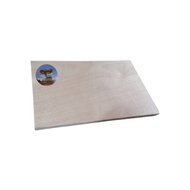 9.7x10.3 INCHES ordinary / marine plywood / plyboard replacement board for shelving storage rack