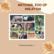 Malaysia Postcard - National Zoo of Malaysia | Zoo Negara