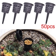 50pcs/set Practical Plant Fertilizer Basket, Bonsai Fertilizer Container with Lid Fertilizer Box, Au