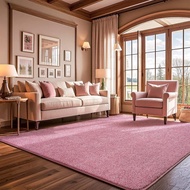 Large 6x9 Washable Area Rug For Living Room, Pink Memory Foam Carpet, Non-Slip Fluffy Rugs For Girls