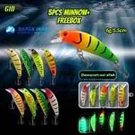 FISH FATHER 5pcs MINNOW SET luer6g/5.5cm Glow in the Dark Package Contents 5pcs Minnow 5.5cm 6gramsi