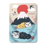 貓 毛毯 寵物毯 空調毯 冷氣毯 毯子