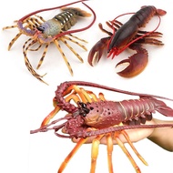 Shrimp Boston Lobster Squilla Crayfish Marine Biological Model Children Cognitive Toys Simulation Pr