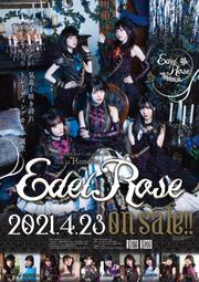 【新品推薦】【興悅】Voice Actor Card Collection EX 聲優收藏卡 現貨