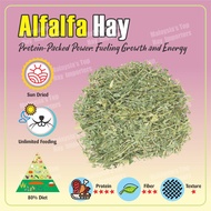 Dust Free Premium filtered Timothy/ Alfalfa / Orchard imported hay 500g / 1kg / 3kg - for small anim