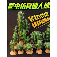 Reptile Breeding Box Landscaping Simulation Plants Desert Lizard Landscaping Rainforest Tank Climbin