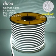 ไฟเส้น LED มี7สี LED Neon flex 220Vไฟเส้น 5-30เมตร ประดับตกแต่งแม้ในบ้าน หรือนอกบ้าน