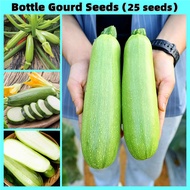 ปลูกง่าย ปลูกได้ทั่วไทย ของแท้ 100% 25 เมล็ด เมล็ดพันธุ์ น้ำเต้าเซียน Bottle Gourd Seeds เมล็ดพันธุ์ผัก Bonsai Vegetables Seeds for Planting ด้วยใบไม้หลากสีที่สวยงาม ของแต่งบ้านสวน เมล็ดบอนสี ต้นไม้มงคล บอนไซแคระ ต้นไม้ฟอกอากาศ บอนสี เมล็ดดอกไม้ Plants