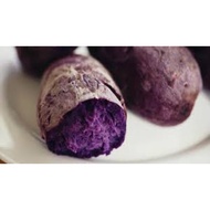 Japanese Purple Sweet Potato Cutting / Keratan Ubi Keledek Manis Jepun
