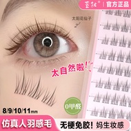 ️ Stemless Glue-Free Self-Adhesive False Eyelashes Supernatural 5D Simulation Female Upper Eyelashes