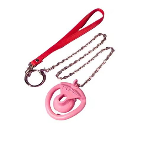 Ring Negative Chastity Lock Embedded Hidden Lock with Traction Urine Support Chastity Device Transve