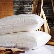 Dunlopillo 5Star Hotel Pillowcase – Premium 3F Striped Silk (Free bag included)