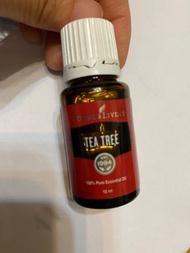 Young Living 精油 茶樹精油 tea tree 🌲