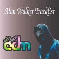CD 3078. High quality Alan Walker Tracklist
