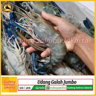 PROMO Udang Galah Jumbo 1kg isi 4-5 Ekor/ Udang Segar Galah Fres