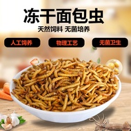 Rutin Chicken Feed Mealworm Freeze-Dried Hamster Food Tenebrio Molitor Snack Feed Arowana Turtle Bird Food Turtle Food