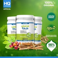 Herba Lendir Raja - Hernia, Angin Pasang, Telor Bengkak Sebelah, Radang Usus, Sembelit, Gerd, Buncit