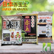 JAPAN AKADAMA (3-6mm) 日本赤玉土 SPECIAL FOR CACTUS AND SUCCULENT PLANTS GARDENING SOIL