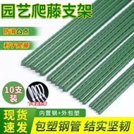 Memanjat Trellis Bunga Stand Paip Keluli Bersalut Plastik Biji Mawar Tomato Timun Berkebun Batang Te