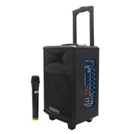 Dennys 鼎鋒 WS-660 拉桿式移動音響