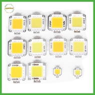 EPMN> 1pc cob led light dc led bulb chip on board 10W 20W 30W 50W 70W 100W 2 colors new