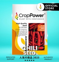 (10 GRAM) Biji Benih Cili Minyak Super Hot 超级辣 CL33 CROP POWER Chili seeds  一代配种油椒辣椒种子 CL 33