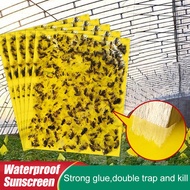 Double Sided Sticky Fly Board || Insect Traps Pest Killer Fly Orchard Fruit Fly Bugs || Super Sticky Glue Sticker