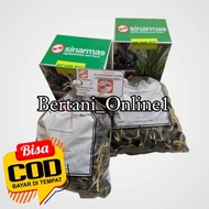 Bibit Polong Kecambah Sawit DAMI MAS / SINAR MAS