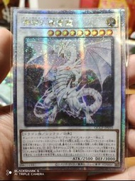 遊戲王 青眼精靈龍 港版
