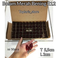 E12 Clear White Chili Bulb Wholesale