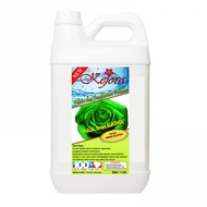Pelicin dan Pewangi Laundry 5 Liter " KEJORA " - TANPA ALKOHOL + Anti Bakteri + Pelembut