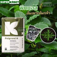 พีทมอส คลาสแมน นำเข้า !! ดินเพาะกล้า พอทกราวด์ - เอช  70 ลิตร