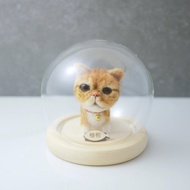 加菲貓客製寵物羊毛氈 豆豆貓 寵物客製 公仔