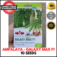 EAST-WEST SEEDS - AMPALAYA SEEDS - GALAXY MAX F1 HYBRID - 10 SEEDS