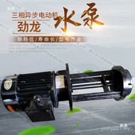 50 Water Pump Pump Black Washer/Jinzhilong 250W Glass YSB7102HF100 Acid Alkali Resistant HYO8