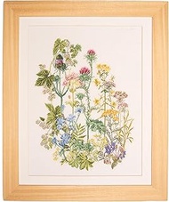 Thea Gouverneur TG424A 18 Count Counted Cross Stitch Kit, 13-3/4 by 18-1/8-Inch, Herb Panel on Aida