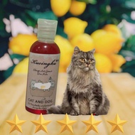 shampo kucing anti bulu rontok sampo anti kutu jamuran kudis kurap parasit sampo kucing paling ampuh